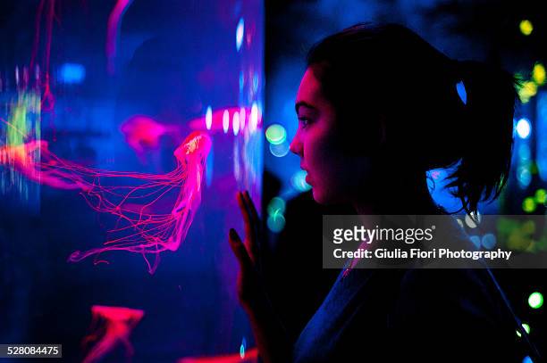 girl staring at the jellyfish in an aquarium - people at aquarium stock pictures, royalty-free photos & images