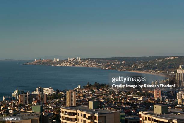 vina del mar, chile - vina del mar foto e immagini stock