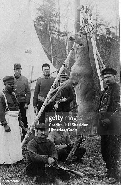 Six mature Caucasian hunters carrying guns, and an African American cook in an apron and carrying a knife, are gathered around a deer which has been...