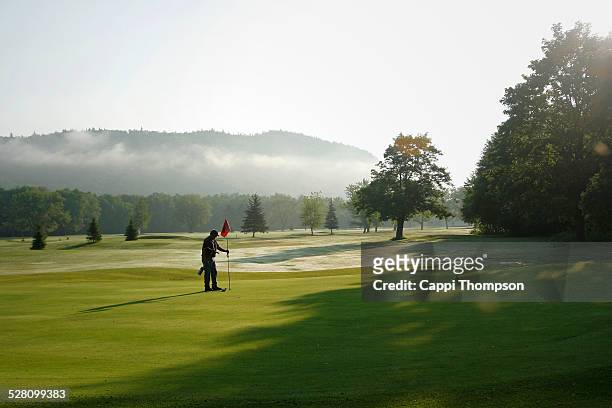 greenskeeper setting the pin - campo golf fotografías e imágenes de stock