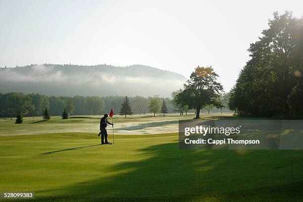 greenskeeper setting the pin - golf turf stock pictures, royalty-free photos & images