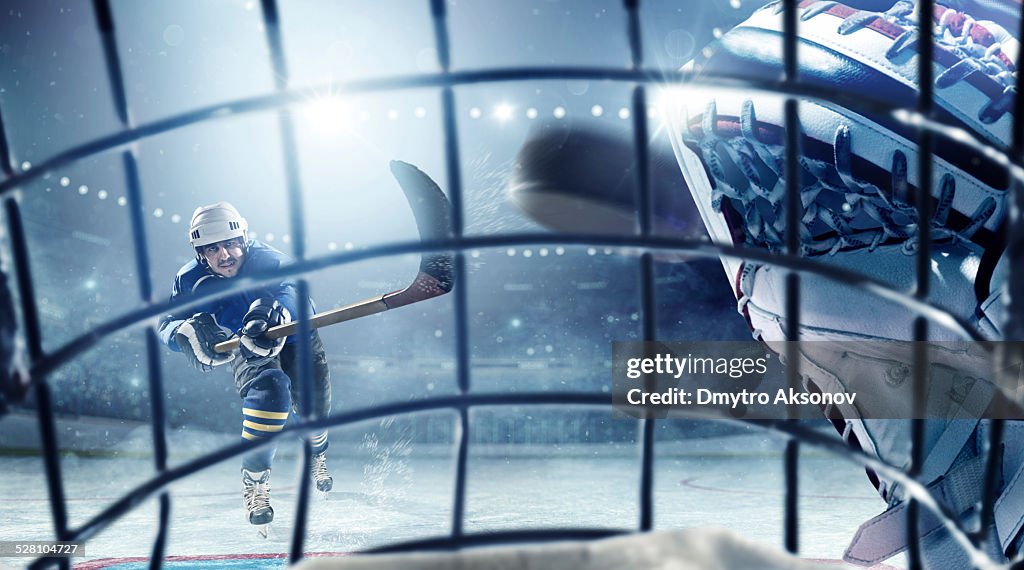 Ice Hockey Player vs Hockey goalie