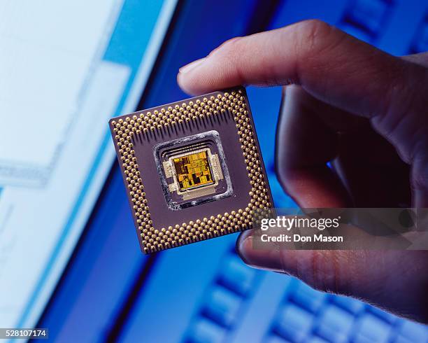 Don Chip Don Chip Photos and Premium High Res Pictures - Getty Images