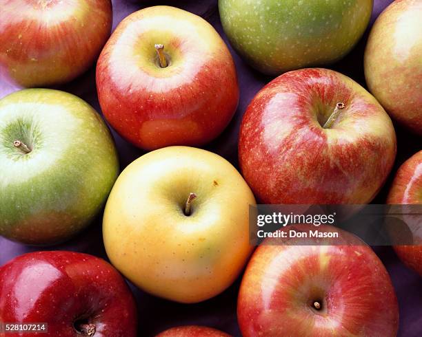 various apples - jonagold apple stock pictures, royalty-free photos & images