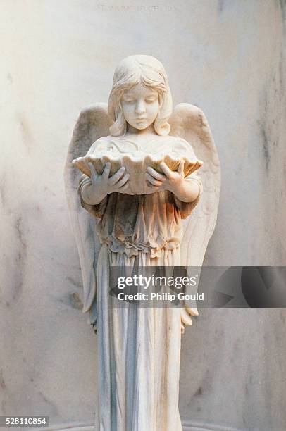 Shell Angel Statue 173 Angel Wing Shell Stock Photos, High-Res Pictures, and Images ...
