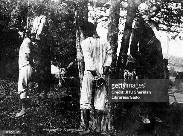 Four African American men hang from trees, their hands bound behind their backs, apparent victims of lynchings, 1915. .