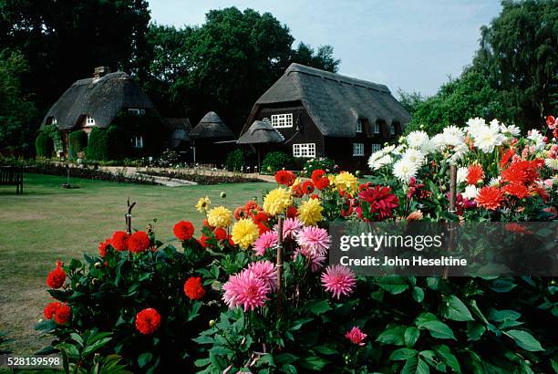 Minstead Minstead Photos and Premium High Res Pictures - Getty Images