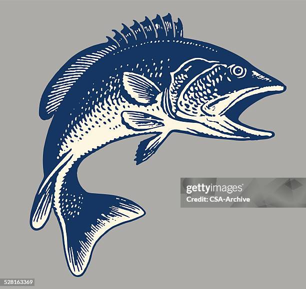 ilustraciones, imágenes clip art, dibujos animados e iconos de stock de pescado - pescar