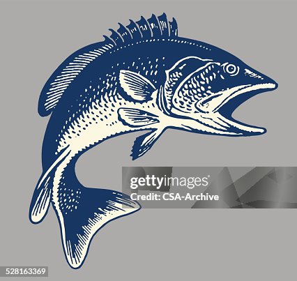 Fish Fish