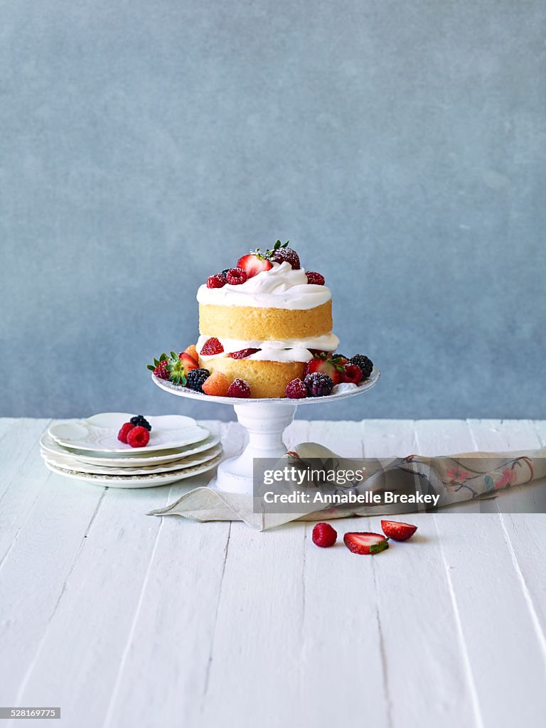 Still LIfe: Berry Cream Layer Cake