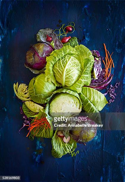 raw fresh cabbage still life - cabbage stock pictures, royalty-free photos & images