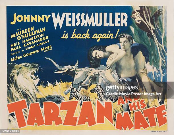 Poster for Cedric Gibbons' 1934 action film 'Tarzan and His Mate' starring Johnny Weissmuller and Maureen O'Sullivan.