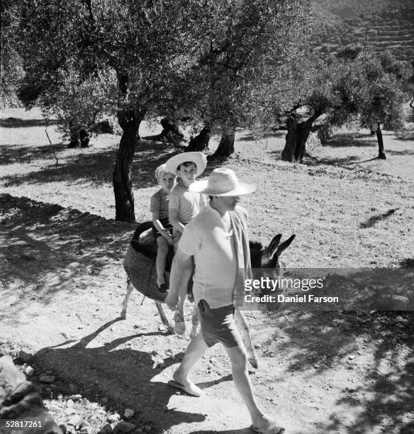 English novelist, poet and scholar Robert Graves , leads his sons William and Juan on a donkey through an olive grove to the beach at Deya, Majorca,...