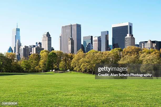 sheep meadow in central park, new york city, new york state, usa - central park manhattan fotografías e imágenes de stock