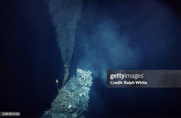 black smoker in the pacific - océan-pacifique photos et images de collection