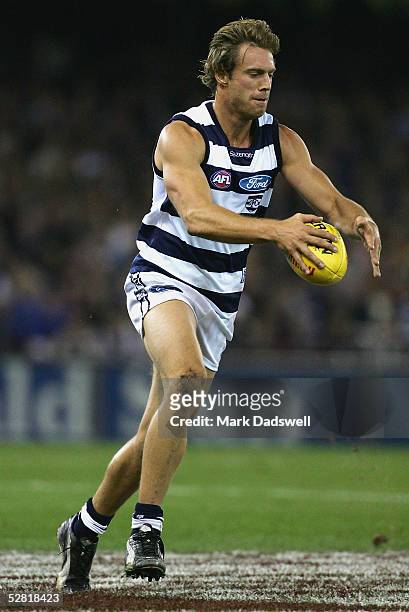 Joel Corey for the Cats in action during the AFL Round 8 match between the Carlton Blues and the Geelong Cats at the Telstra Dome May 13, 2005 in...