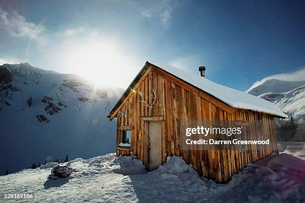 cabin in the mountains - geweih stock-fotos und bilder
