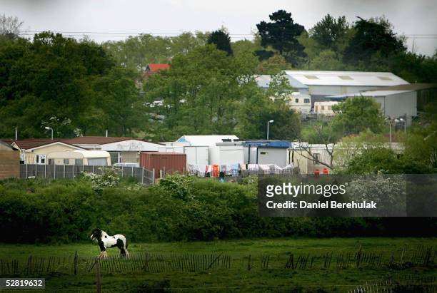 Travellers' dwellings occupy a field May 13, 2005 in Essex, England. The presence of the travellers has upset the local community, with blame being...