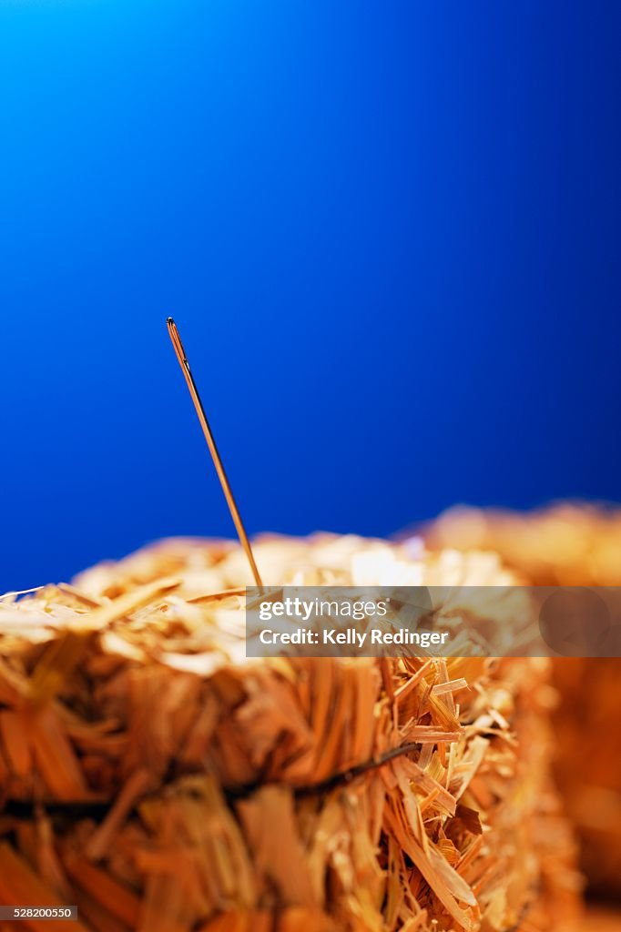 Needle in Haystack