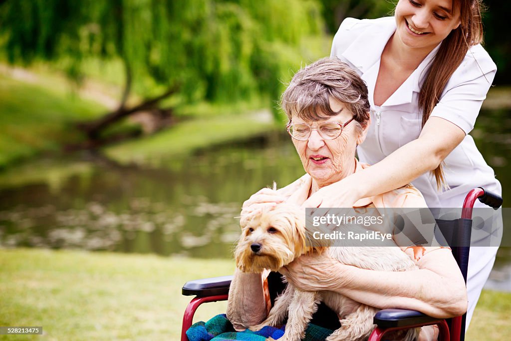 Happy nurse tends old woman in wheelchair with pet dog