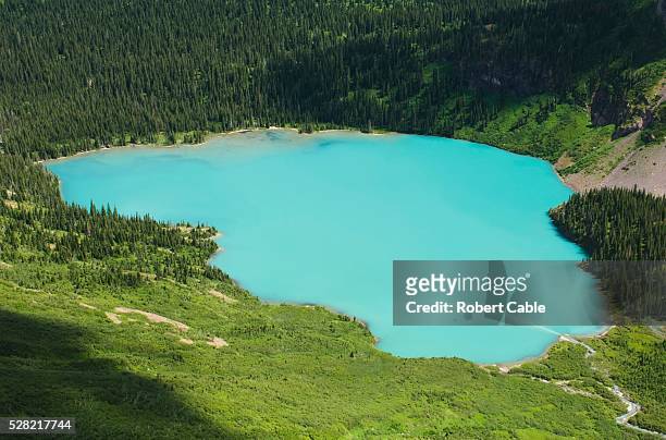glacial silt pouring into grinnell lake at glacier national park - grinnell lake bildbanksfoton och bilder