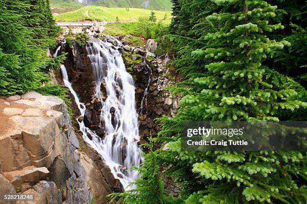 edith creek falls in mt. rainier national park - edith falls stock pictures, royalty-free photos & images