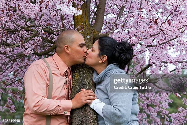 a couple kissing by a cherry blossom tree - cherry kiss 個照片及圖片檔