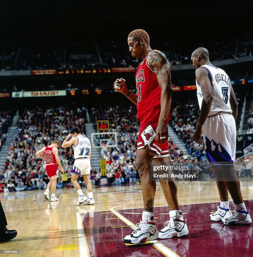 Dennis Rodman Game Portrait