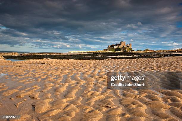 view of bamburgh castle from a sandy beach - northumberland stock pictures, royalty-free photos & images