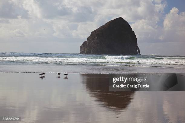 haystack rock at cape kiwanda - tillamook rock light stock pictures, royalty-free photos & images