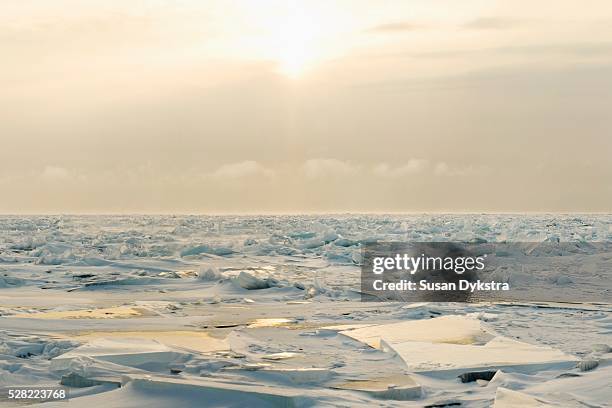 ice chards on the north shores of lake superior - lake superior winter stock pictures, royalty-free photos & images