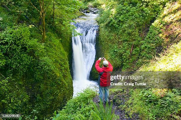 a man taking a picture of middle oneonta falls in columbia river gorge national scenic area - oneonta falls stock pictures, royalty-free photos & images