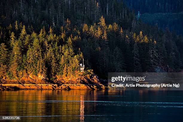 tracy arm fjord. alaska, united states of america - holkham bay alaska stock pictures, royalty-free photos & images