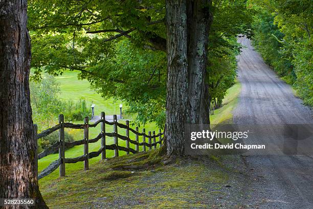 Knowlton Tree 53 Knowlton Quebec Stock Photos, High-Res Pictures, and Images - Getty ...
