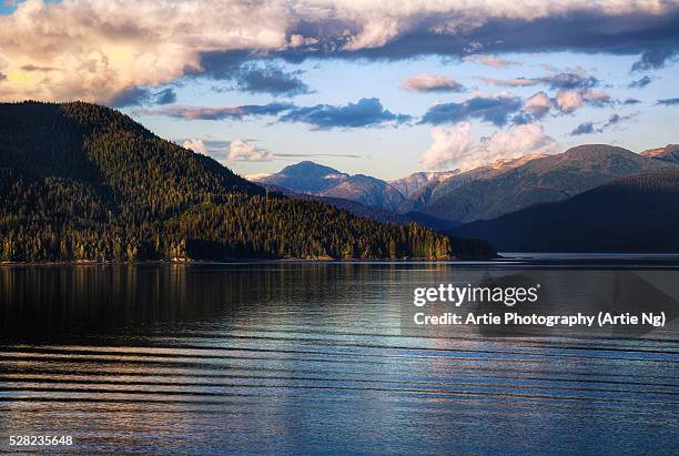 tracy arm fjord. alaska, united states of america - holkham bay alaska stock pictures, royalty-free photos & images