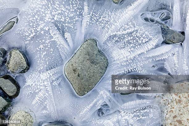 close up of hoar frost crystals on gravel bar rocks along the chilkat river, chilkat bald eagle preserve, haines, southeast alaska - river chilkat bildbanksfoton och bilder