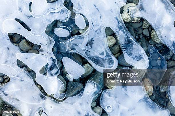 air pockets beneath ice create abstract patterns on a gravel bar along the chilkat river, near haines, southeast alaska, winter - river chilkat stock pictures, royalty-free photos & images