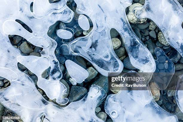 air pockets beneath ice create abstract patterns on a gravel bar along the chilkat river, near haines, southeast alaska, winter - river chilkat bildbanksfoton och bilder
