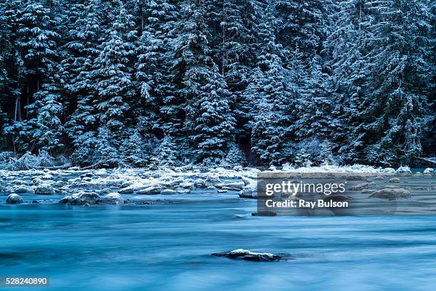 hoar frost coats the bolders and spruce trees along the chilkoot river in the chilkat bald eagle preserve near haines, southeast alaska, winter - river chilkat stock pictures, royalty-free photos & images