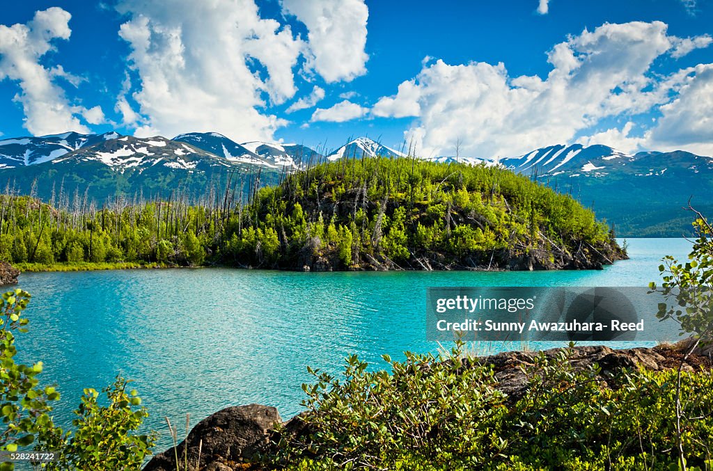 Scenic view of Skilak Lake, Kenai National Wildlife Refuge, Southcentral Alaska, Summer.