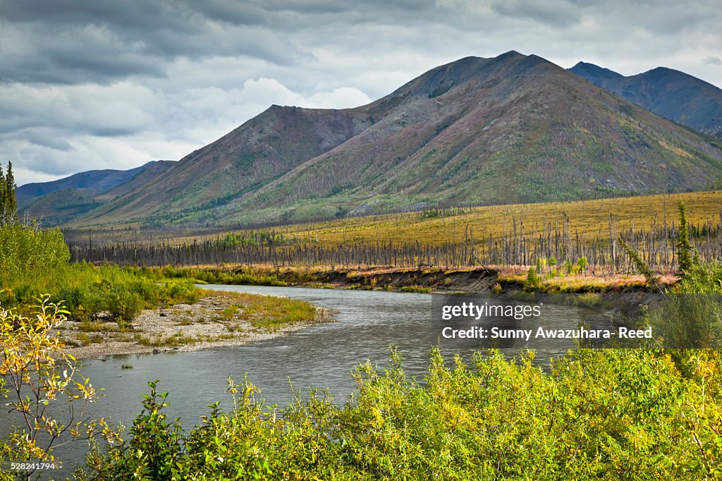 South Fork of Koyukuk River and Brooks Range, Dalton Hwy, Arctic Alaska, Autumn.