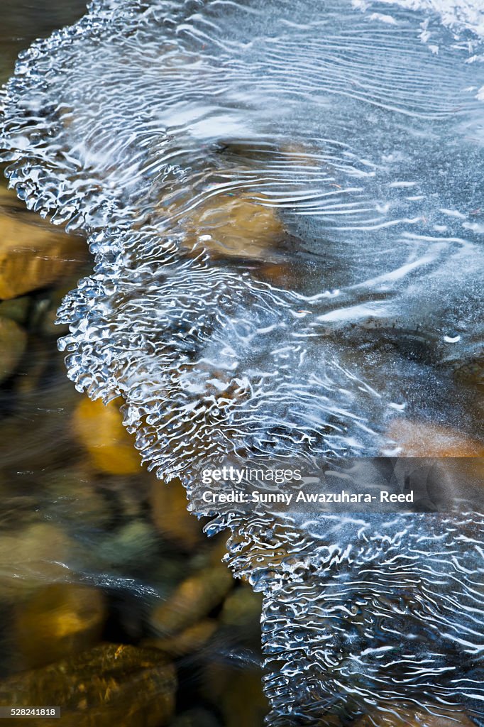 Ice crystal form under the snowbank of Eagle River, Chugach State Park, Southcentral Alaska, Winter.