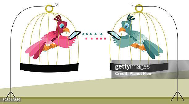 parrots texting each other - telegraph stock illustrations
