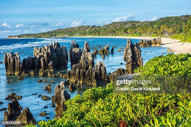 nauru's rocky coastline; nauru - nauru foto e immagini stock