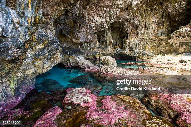 soft corals decorate the ocean caves that line the nuie coastline; niue - niue island stockfoto's en -beelden