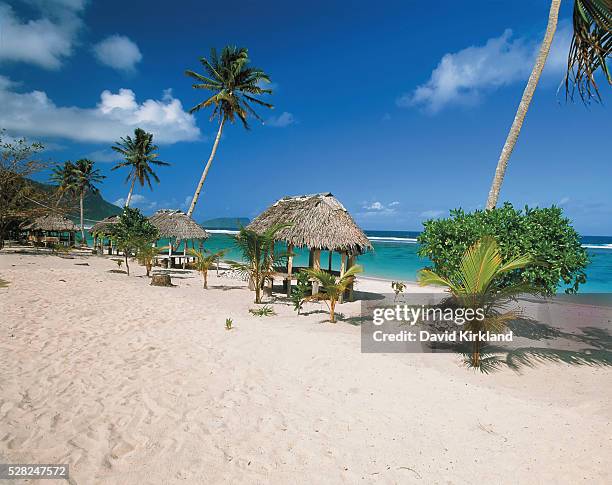 samoan beach with traditional style fales by the water; upolu island, samoa - samoa beachupolu islandbeach fales of samoa stock pictures, royalty-free photos & images