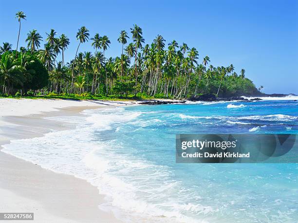 samoan coastline, upolu island; upolu, samoa - samoa fotografías e imágenes de stock