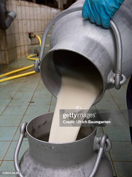Junk ood milk. For many farmers the low milk prices mean existancial anxiety. Milk is poured into a milk jug.