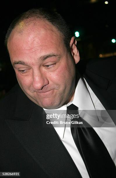 James Gandolfini during 2005 Screen Actors Guild Awards - HBO Post SAG Awards Dinner at Spago Restaurant in Beverly Hills, California, United States.