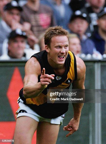 Nathan Brown for the Tigers celebrates a goal during the AFL Round 8 match between the Collingwood Magpies and the Richmond Tigers at the MCG May 15,...